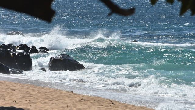 Foil Surfing at Ho'okipa Beach, North Shore, Maui, Hawaii смотреть онлайн