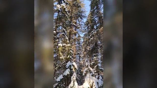 Здоровье и природа#short