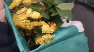 ЛУЧШИЙ ПОДАРОК ДЛЯ ДАЧНИКА