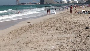 Дикий пляж 🏖️.Шарджа. ОАЭ 🇦🇪