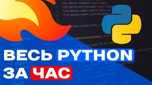 ВЕСЬ PYTHON ЗА ЧАС