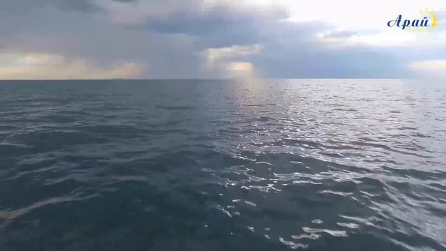 ОТЧЕТ АКИМА  АМАНДЫКА БАТАЛОВА С УЧАСТИЕМ ЕЛЖАНА БИРТАНОВА - МИНИСТРА ЗДРАВООХРАНЕНИЯ РК