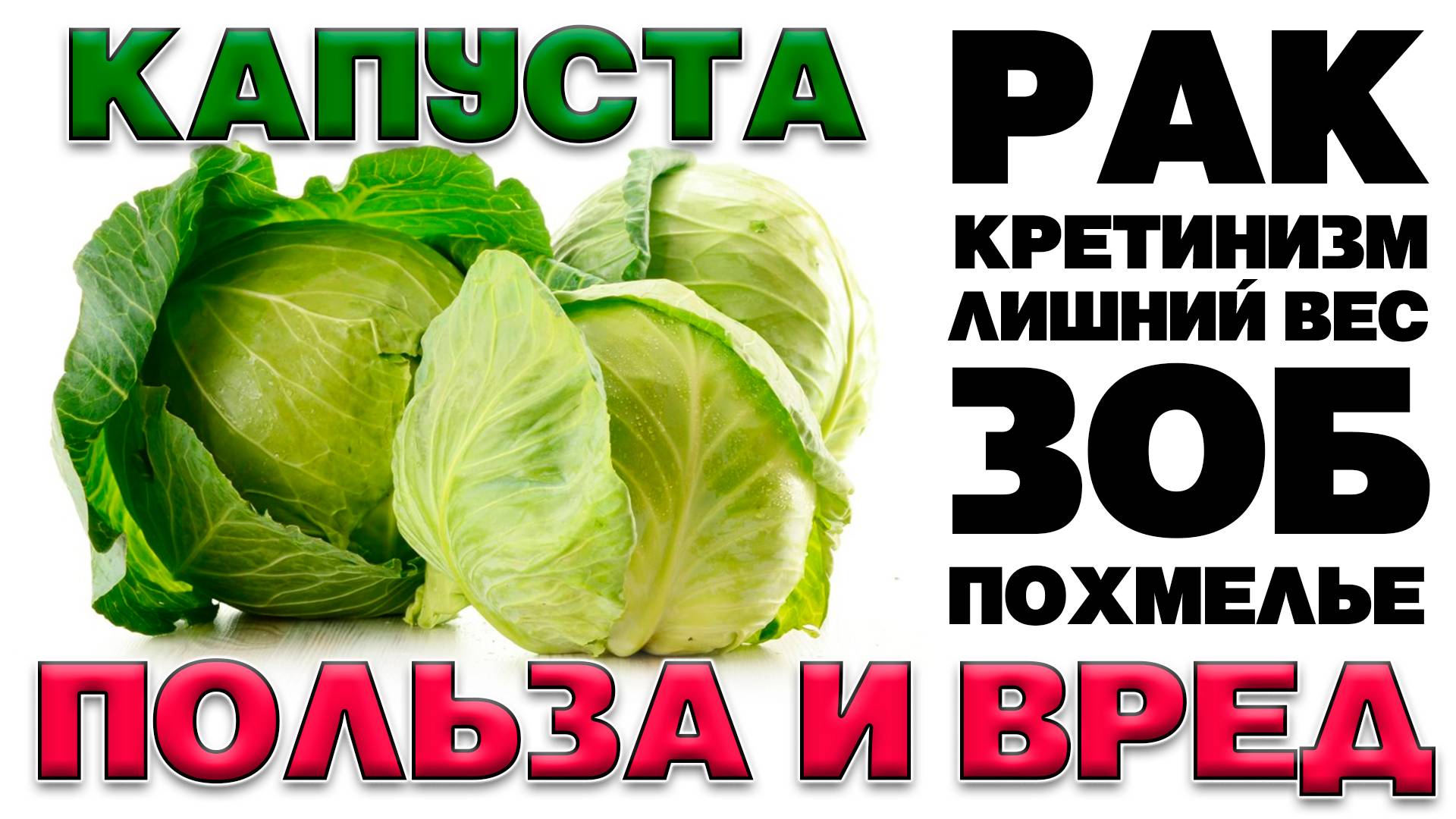 БЕЛОКОЧАННАЯ КАПУСТА -ПОЛЬЗА И ВРЕД (ЧТО СКРЫВАЕТ В СЕБЕ СВЕЖАЯ КАПУСТА)