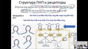 Тимошинские чтения 29.05.2024