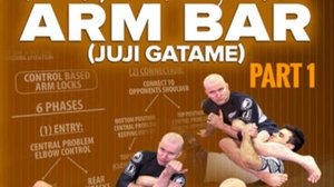 Система армбаров от Джона Данахера vol.1