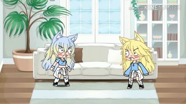 24 horas con mi creadora 