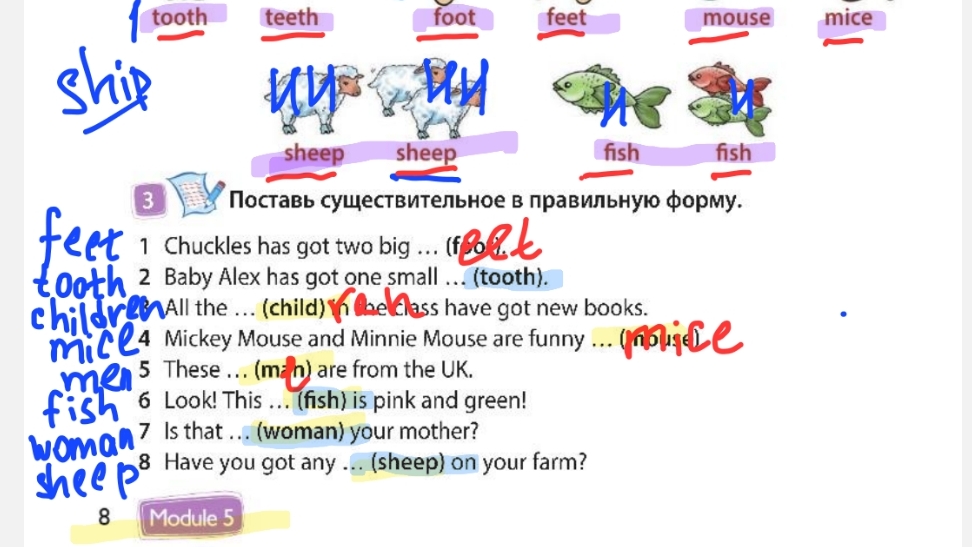 стр 8, номер 3, модуль 5 ,spotlight 3, 9b, гдз видеоразбор понятный.  спртлайт 3 стр 8 часть 2, англ