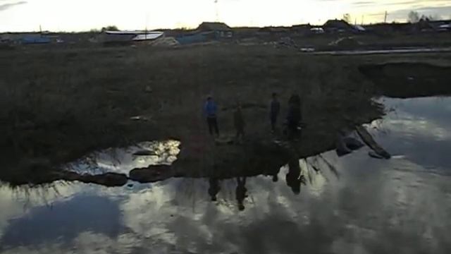 Чёрные копатели
