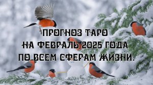 Прогноз Таро на февраль 2025 года по всем сферам жизни.