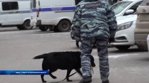 Школьники побывали в Центре кинологической службы МВД