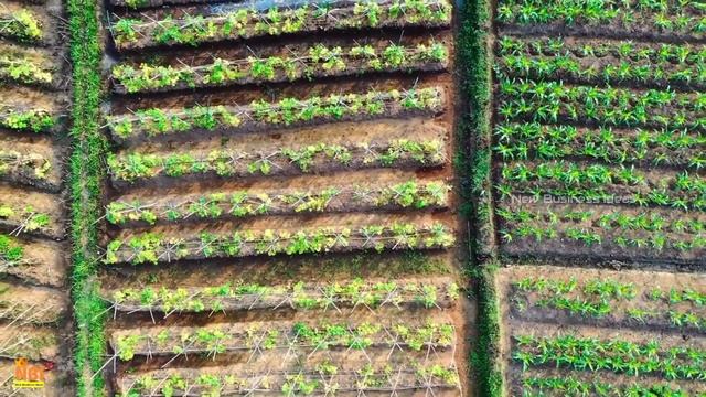 The 9 Modern Agriculture Business Ideas  - That Are Revolutionizing the Industry