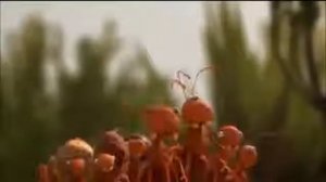 Вместе мы сила!  Мультик о команде