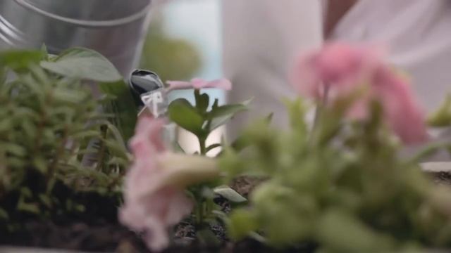 Рекламный ролик на ТВ. Красота как образ жизни смотреть онлайн