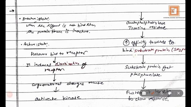 Transmembrane Enzyme Linked Receptors | Kinase Receptor @knowledgeimprover.