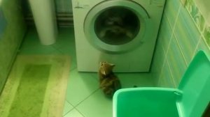 15.01.05 Интересная стиралка