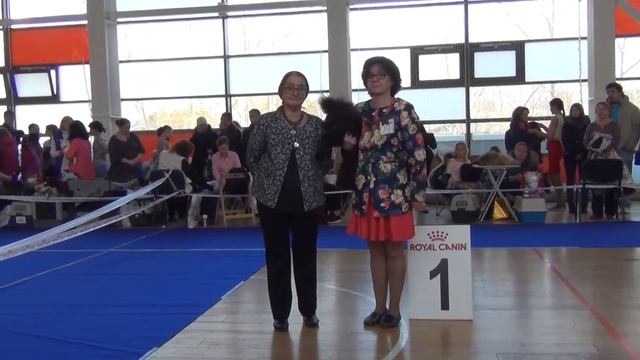 22.10. 2017 года г. Екатеринбург Выставка собакУРАЛОЧКА