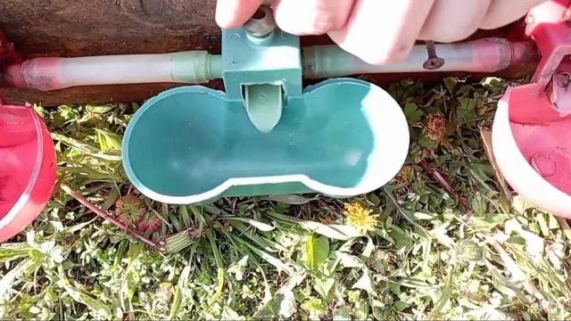 Устанавливаю чашечные поилки для кур. Старое видео.