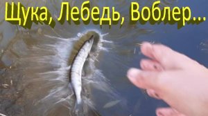 🔥 ЩУКА СЪЕЛА ИВОВЫЙ ЛИСТ, поймал Рудру на Рудру... Необычная рыбалка на воблеры! 🔥