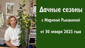 Дачные сезоны с Мариной Рыкалиной от 30 января 2025 года