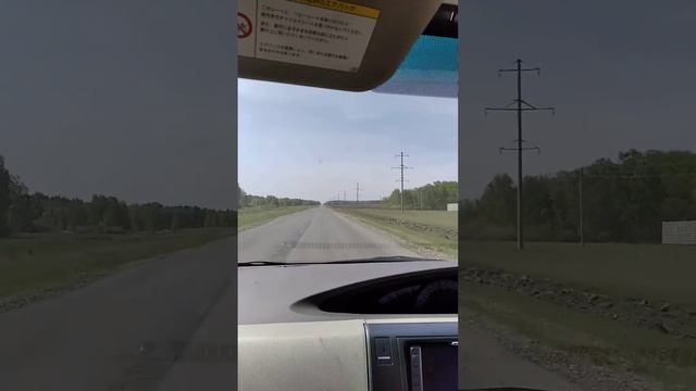 дорога в Ново Андреевку. первомайский совхоз.