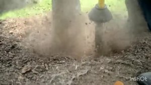 Хороший слой мульчи убьёт ваши деревья раньше срока.