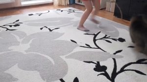 Наши игры. Мейн кун Сева.