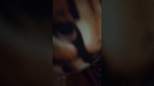 шлепа и его друзья 5 серия