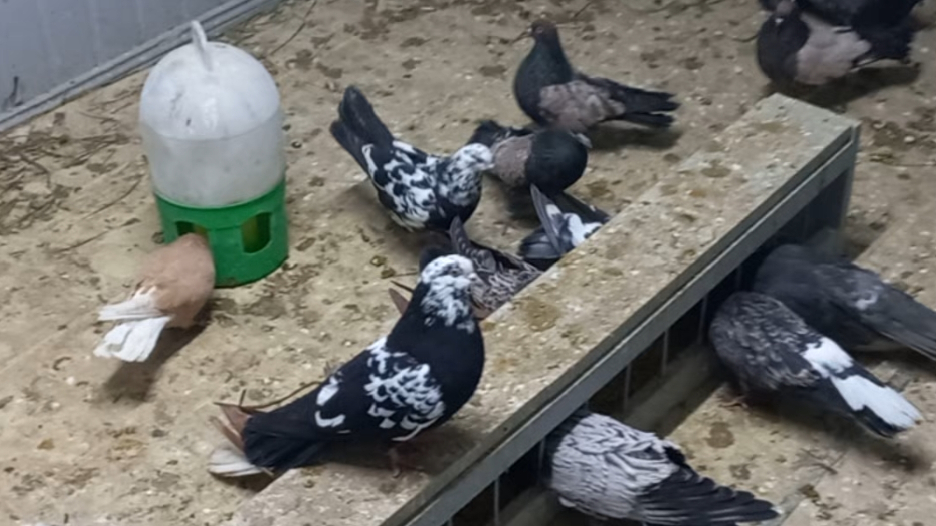 Всё в наших руках. смотреть онлайн