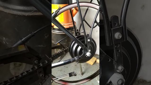 Mxus XF19r смотреть онлайн