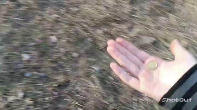 КАК ШКОЛЬНИКИ ПОТУШИЛИ ПОЖАР смотреть онлайн