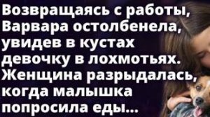 Возвращаясь с работы, Варвара остолбенела, увидев в кустах...