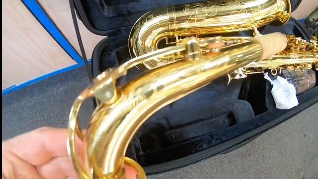 Обзор саксофона альт Forest LKAS-301 смотреть онлайн