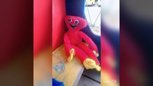 Знакомство с Скари лари.