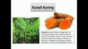 Jenis-jenis kunyit dan pemanfaatannya