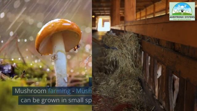 Top 20 agriculture business ideas for beginners in 2023: That will make you rich.