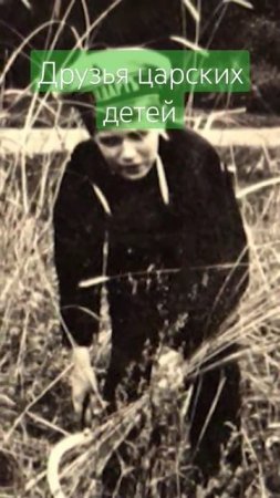 Цесаревич Алексей и его детство