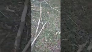 Косилка - кусторез К-1.7 М