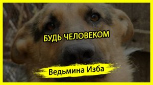 БУДЬ ЧЕЛОВЕКОМ. #ВЕДЬМИНАИЗБА ▶️ #МАГИЯ