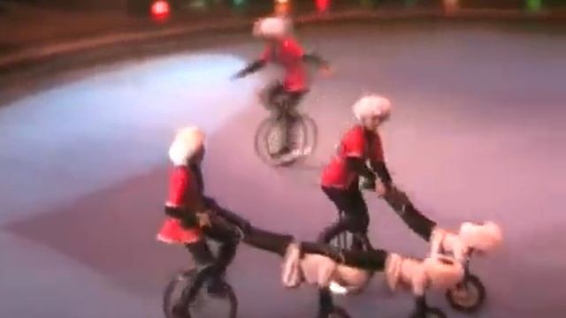 Эквилибристы на велосипедах и моноциклах ДЖИГИТЫ