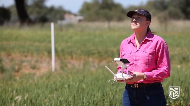 Charles Sturt student Emily shares her Agriculture Business Management story