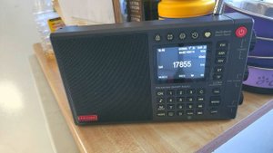 Choyong LC90 receiver on Shortwave is plagued with a major problem of birdies