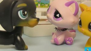 LPS: Слепая 7 серия