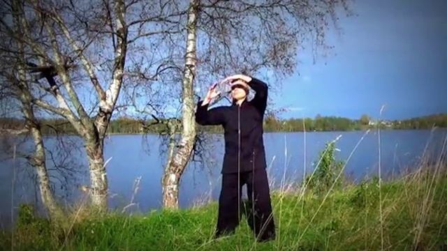 Цигун - 5 первостихий. Qigong 5 Elements