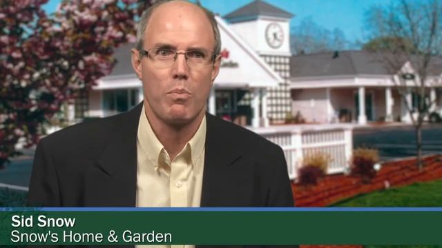 Family Business Association - 2012 FBA Awards: Small Family Business смотреть онлайн