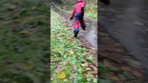 Сереноголовый в Зеленограде #поискисереноголового #мирмальчишек