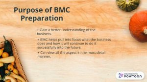 Business Model Canvas