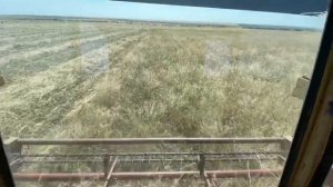 Косилка Плющилка Сена КПС-5Г