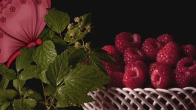 24 декабря 2021 г. смотреть онлайн