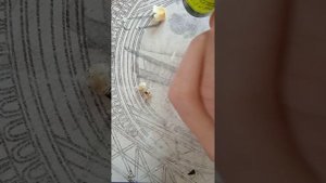 замена испарителя на HQD RIFLE