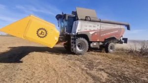 Уборка подсолнечника на новом Российском комбайне Т 500